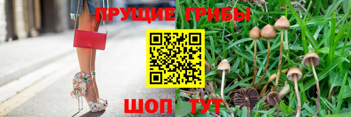 Псилоцибиновые грибы ЛСД Тавда